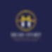 head start-01 (1) logo.jpg