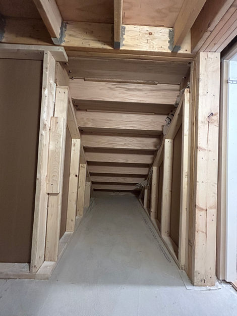 MTC basement under stairs crawl space before