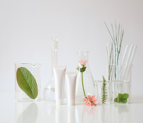 Clean Plant Based Ingredients