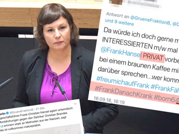 SWR-Fakevideo-Affäre / Altparteien hetzen mit