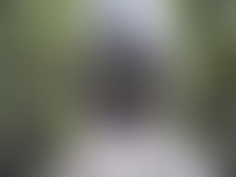 第３１回　　　　　　　　　　　　　　スズキデー記念ピアノコンサート