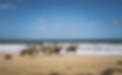 Uruguay ocean view