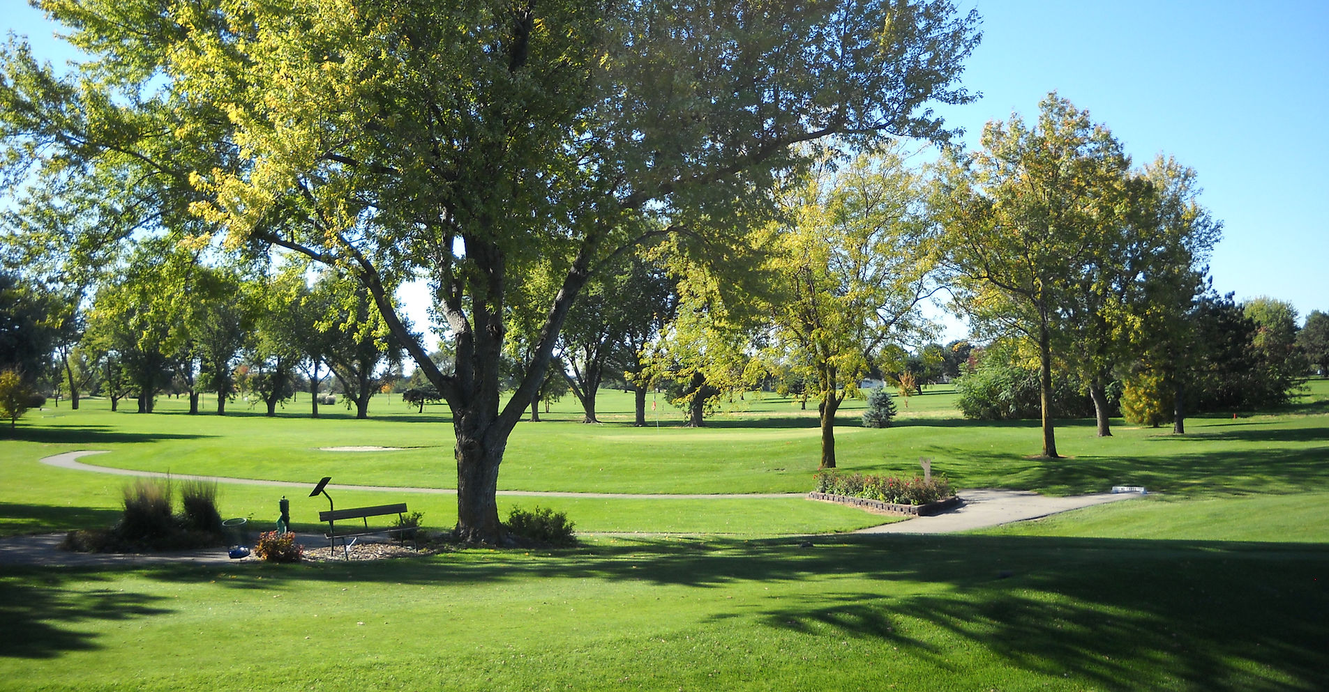 The Pines Country Club