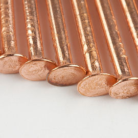 nails-isolated-closeup.jpg