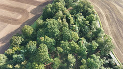 dji_fly_20240917_085300_0117_1726558721943_photo