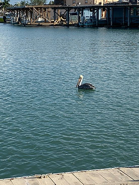 IMG_7685.JPEG