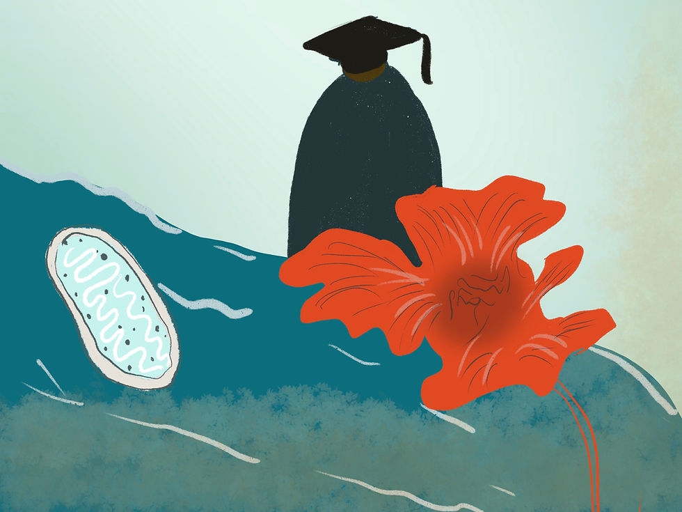 A graduation gown and cap beside a vibrant red flower and a mitochondrion on a teal background, evoking a sense of achievement.