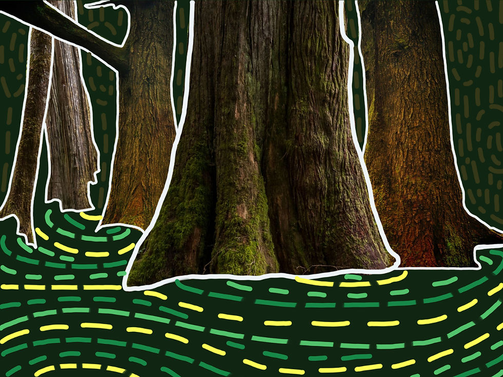Tall tree trunks with moss in a stylized forest setting. Wavy yellow and green lines on a dark background add a whimsical feel.