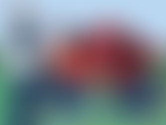 Waiter serving a dish to a seated couple at a restaurant with a mountain view. The scene has a relaxed, scenic atmosphere. The waiter is serving a slive of the mountain to the couple.