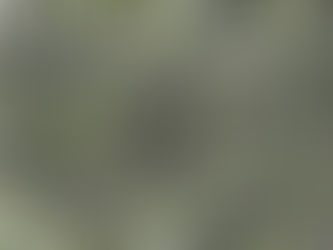 Why a Single Source of Data Matters—and How CRM–ERP Integration Delivers It