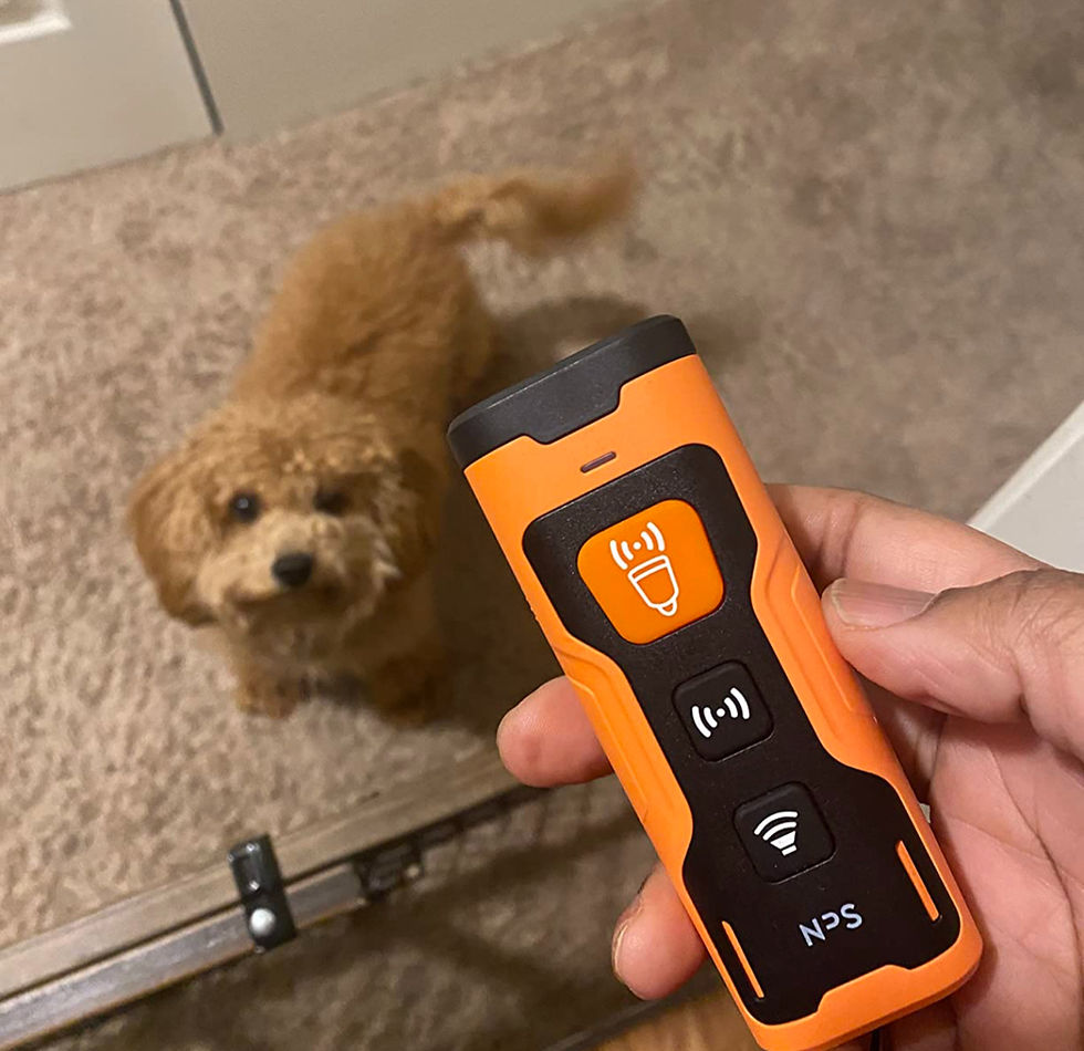 the wold's best device that stop a dog from barking