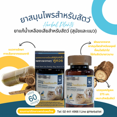 ยาบรรเทาอาการน้ำเหลืองเสียสำหรับสัตว์ (สุนัขและแมว)