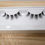 Thumbnail: Fierce lash extensions