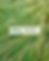 PROWL Thumbnail.png