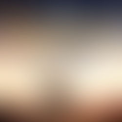 Famine in Zamzam Camp for Displaced People in North Darfur state 