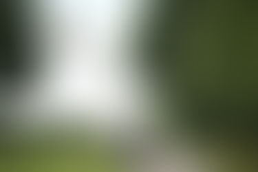 Bucket truck on a rural road, crew working on aerial cable, utility poles. Michael Wilson, Unsplash.