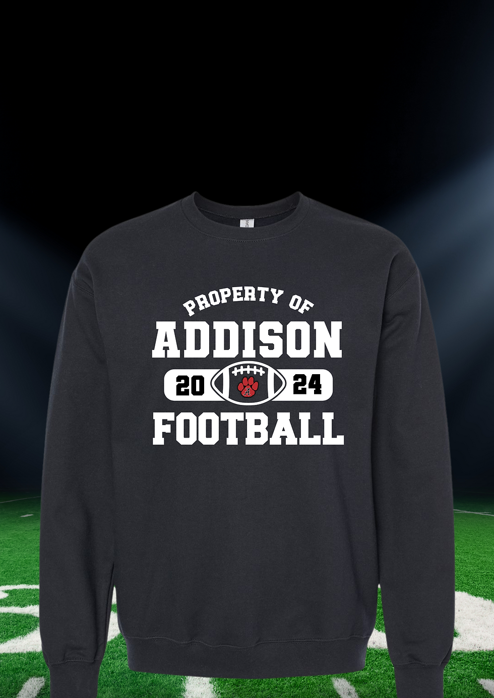 Addison Football 2024