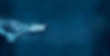 Underwater_edited.jpg