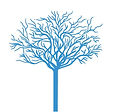 arbre2.jpg