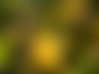 When Life Gives You Lemons