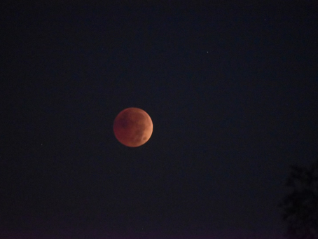 My quick take on every zodiac sign 🌒