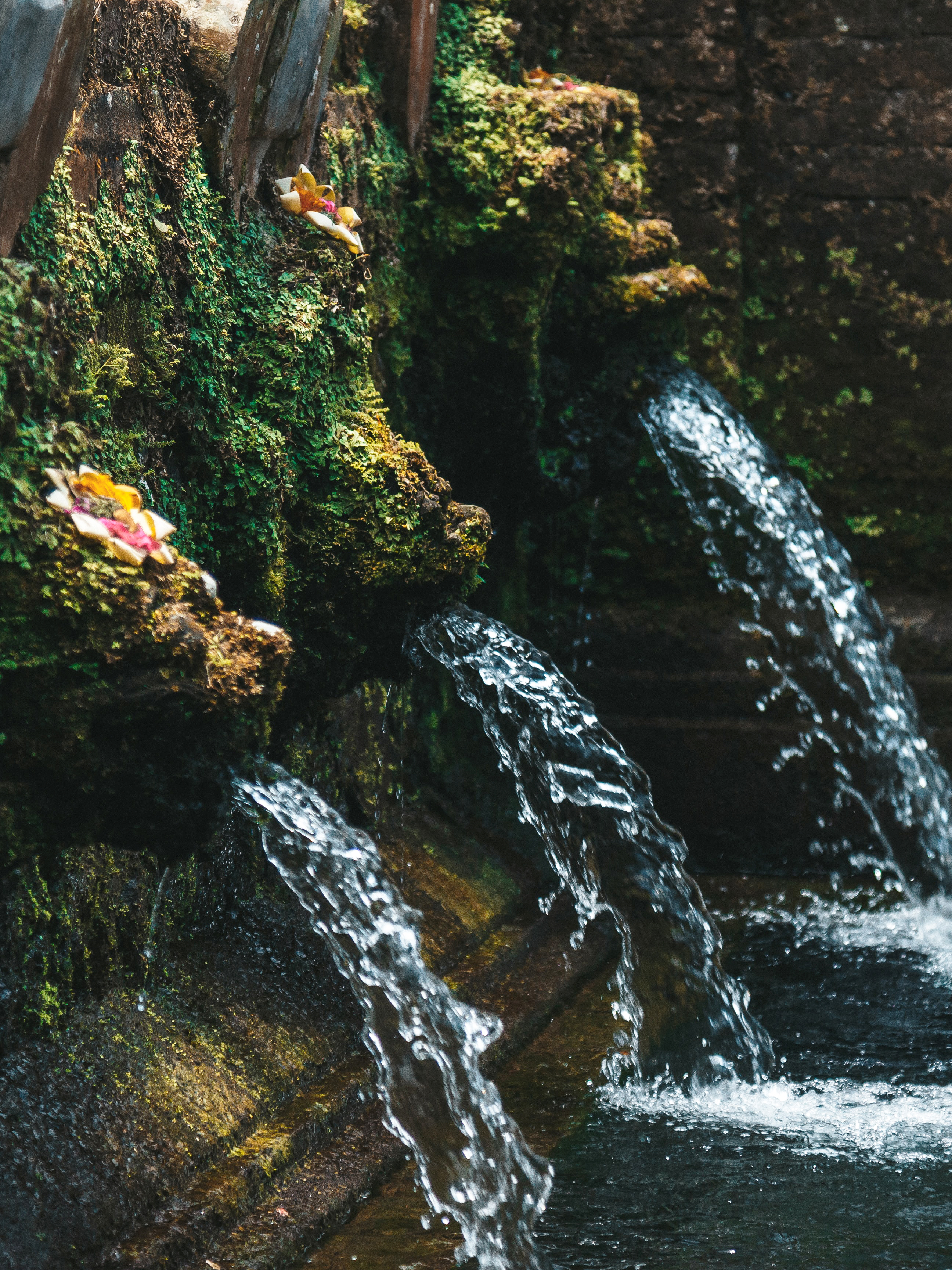 Beji Holy Water Bali