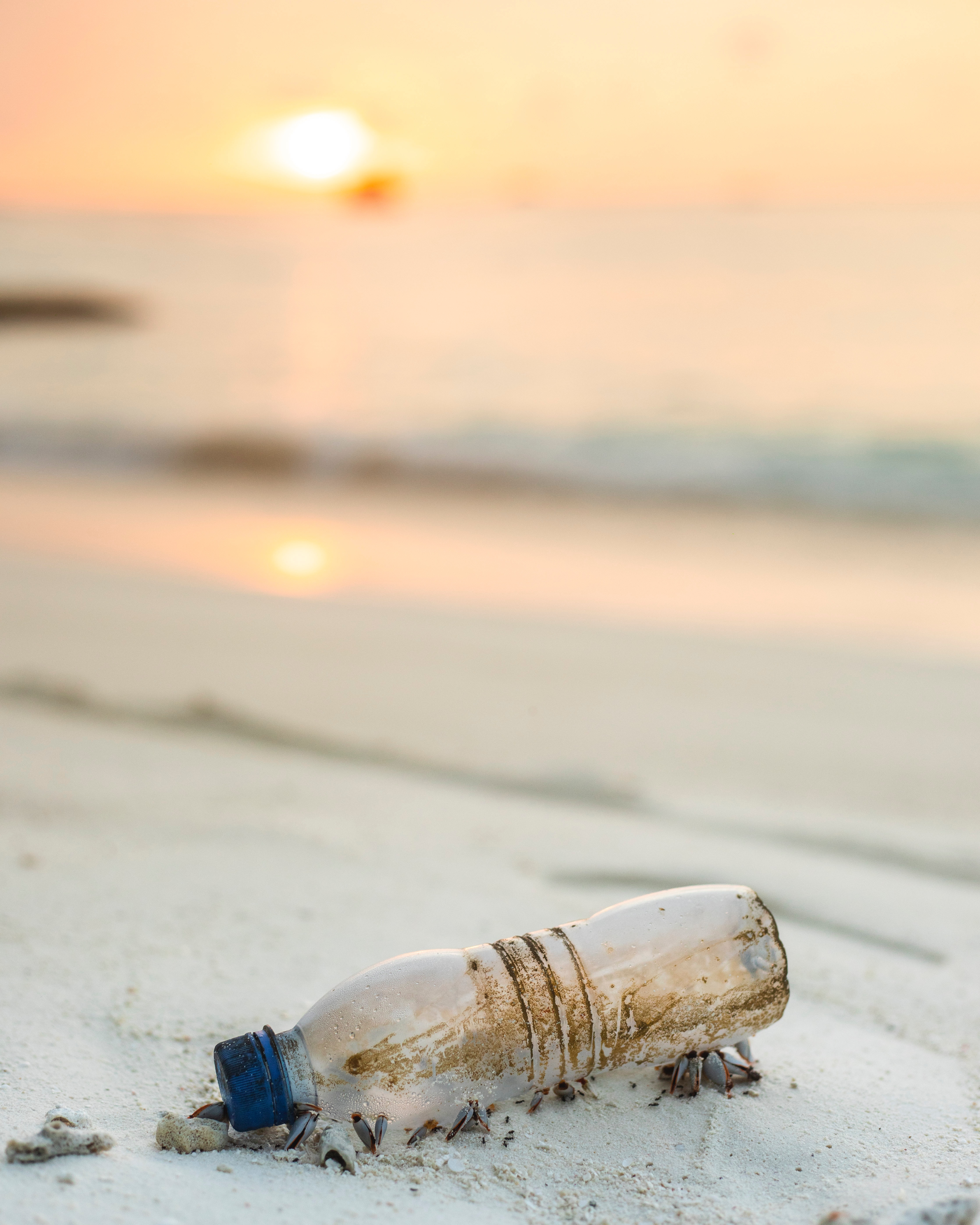 Plastic water bottle on the beach in Bali caused by Plastic pollution