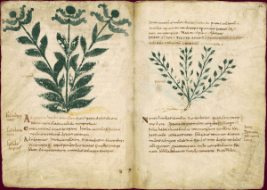 Herbier