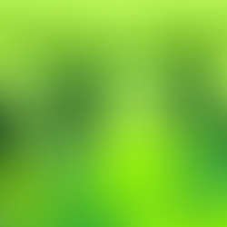 DÍA DEL ÁRBOL - Abril 29 