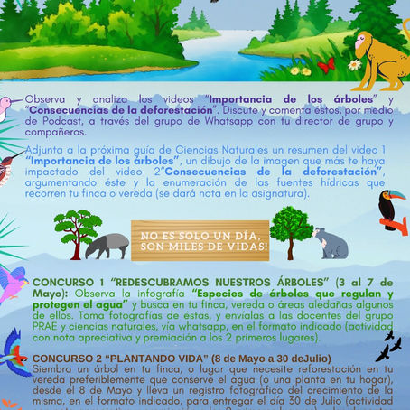 CONMEMORACION DIA DEPARTAMENTAL DEL ARBOL