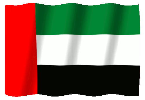UAE Flag (1).gif