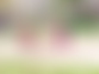 Jóvenes de la colonia tomaron la iniciativa de hacer trabajos de mantenimiento...