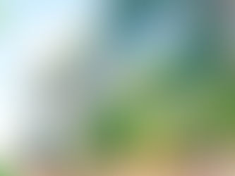 "Tenchos" en el centro