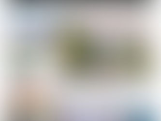 Semanario Espresso 257