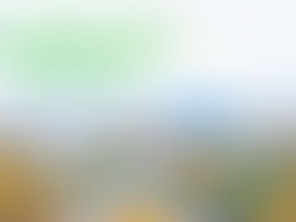 8 de noviembre. - Día Mundial del Urbanismo