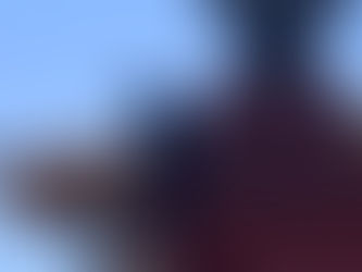 Ave común en la región