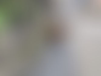 Posando para la cámara