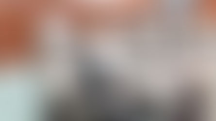 El trabajo de la Comisión de Ganadería se caracterizó por no politizar los asuntos pecuarios