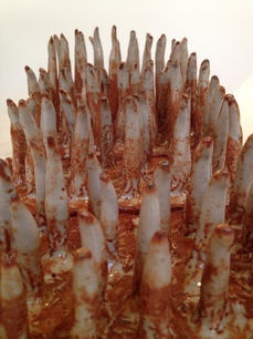 Ceramic. Detail. 2014.