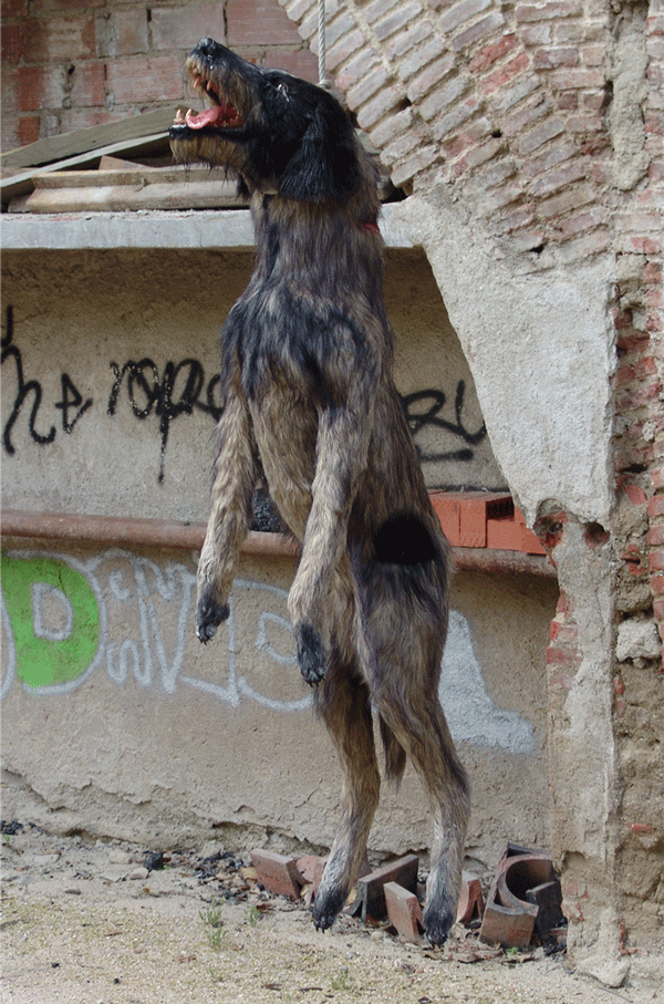 El comisario