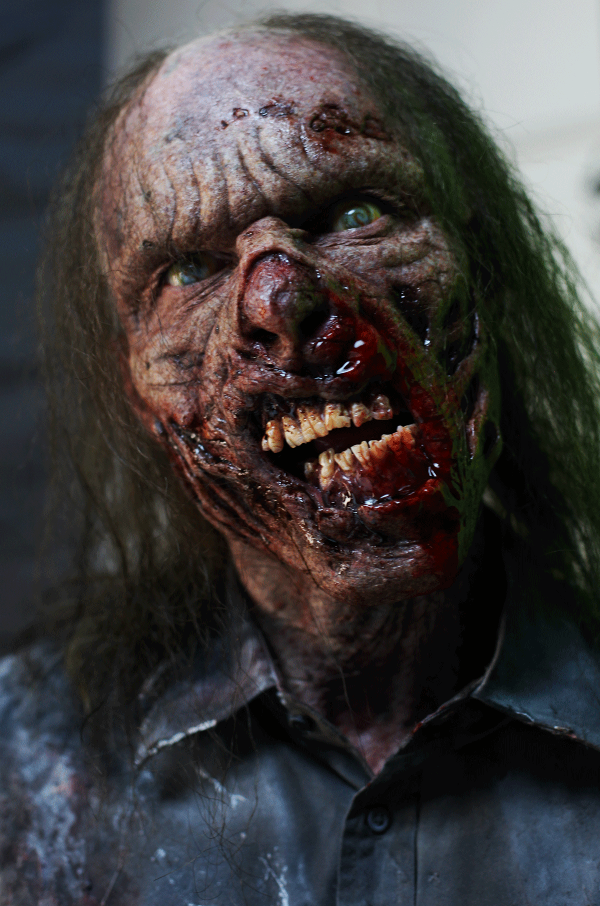 vis a vis vs walking dead