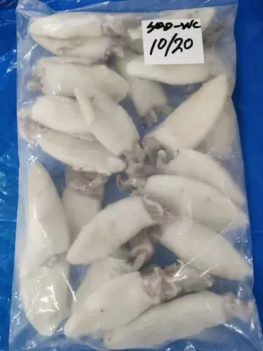 Thumbnail: Squid Whole Cleaned IQF