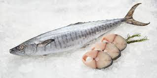 Kalouch Fish Products | Kalpataru Exports