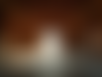 Exploring the Unique Charm of Rustic Wedding Venues