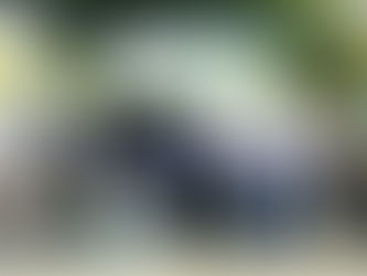 パークゴルフ大会を開催!