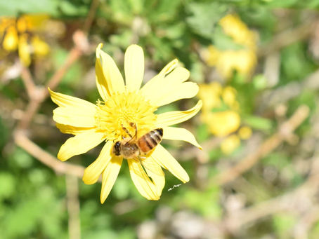 My favorite Scavenger Hunt Photos