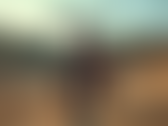 Explore the World of BMX Bikes - About BMX Bikes World