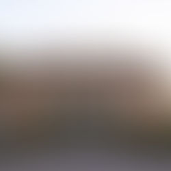 Davenport House - a large brick mansion with multiple windows, central entrance with columns, surrounded by greenery. Bright, clear sky; calm setting.