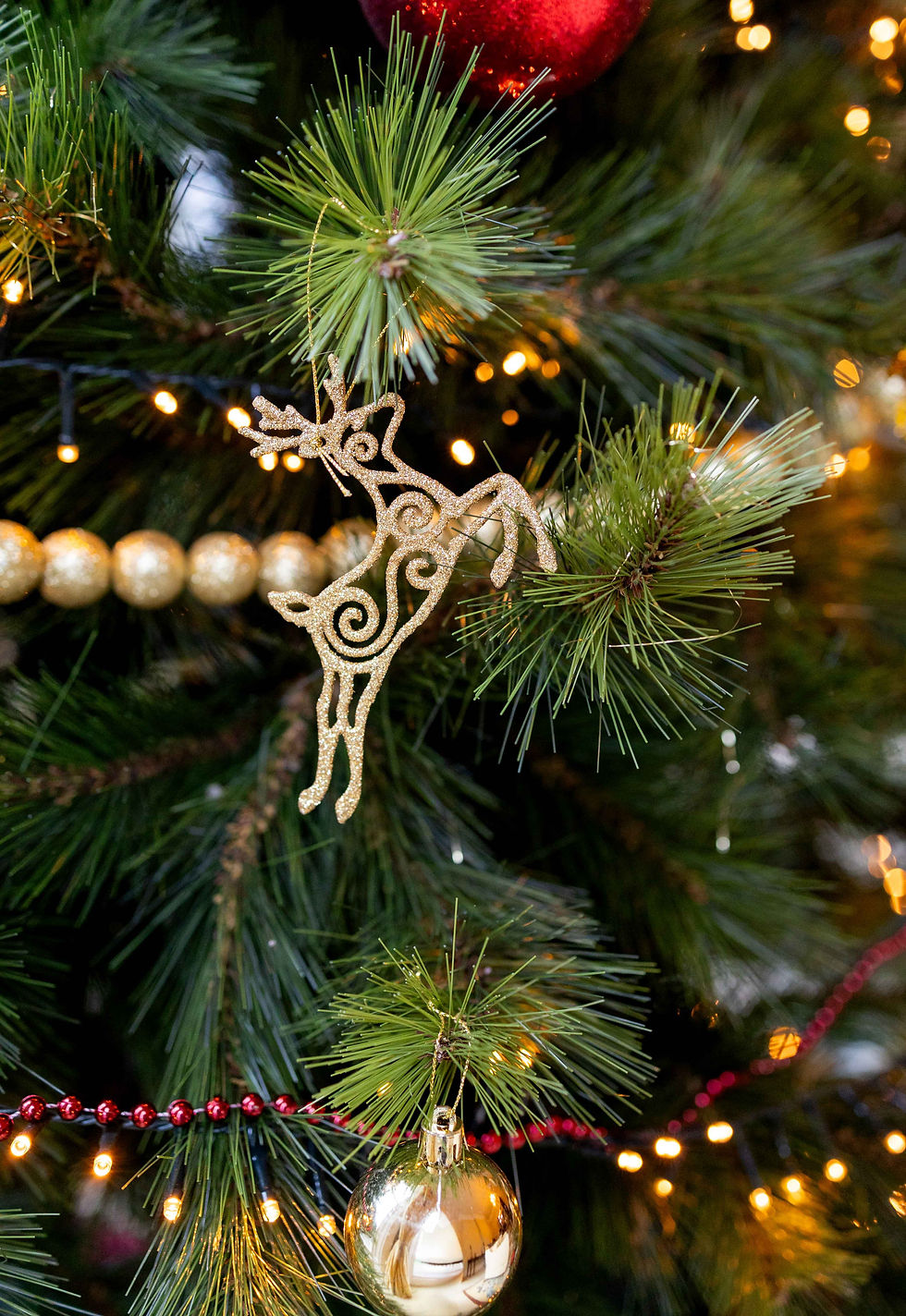 Golden reindeer ornament on a Christmas tree branch with red and gold baubles. Warm white lights create a festive atmosphere.