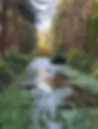 WhatsApp Image 2023-07-17 at 08.47.13.jpeg